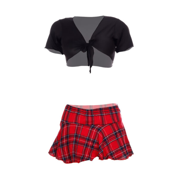 FLIRTY TOUCH Erotic Costume