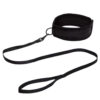 "Black adjustable collar with a detachable leash, displayed on a white background."
