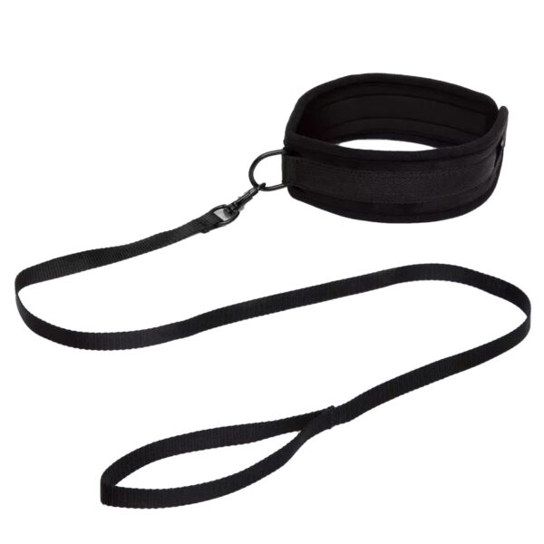 "Black adjustable collar with a detachable leash, displayed on a white background."