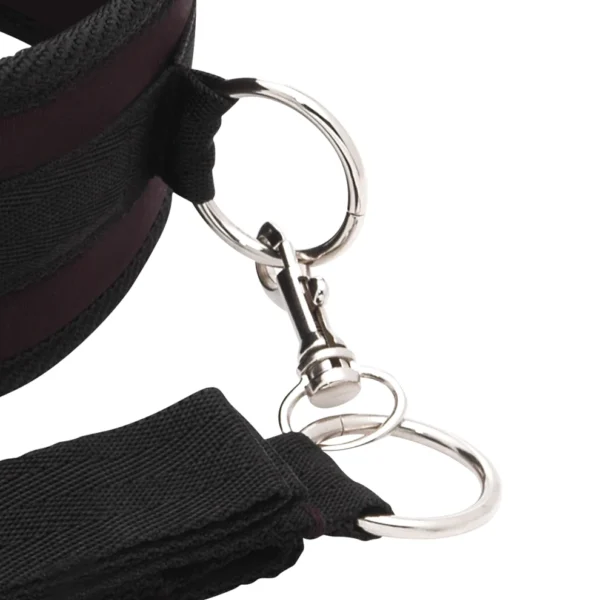 "Black adjustable collar with a detachable leash, displayed on a white background."