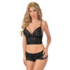 Regular Lingerie Set LS-06005