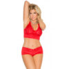 Regular Lingerie Set LS-06005